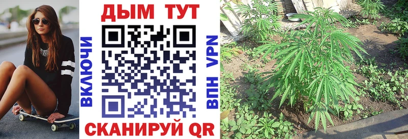 как найти закладки  Нестеровская  МАРИХУАНА планчик 